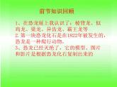小学六年级下册科学-3.2化石告诉我们什么-苏教版(25张)ppt课件