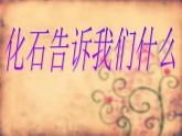 小学六年级下册科学-3.2化石告诉我们什么-苏教版(34张)ppt课件