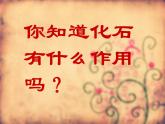 小学六年级下册科学-3.2化石告诉我们什么-苏教版(34张)ppt课件