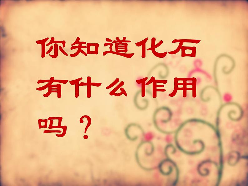 小学六年级下册科学-3.2化石告诉我们什么-苏教版(34张)ppt课件第4页