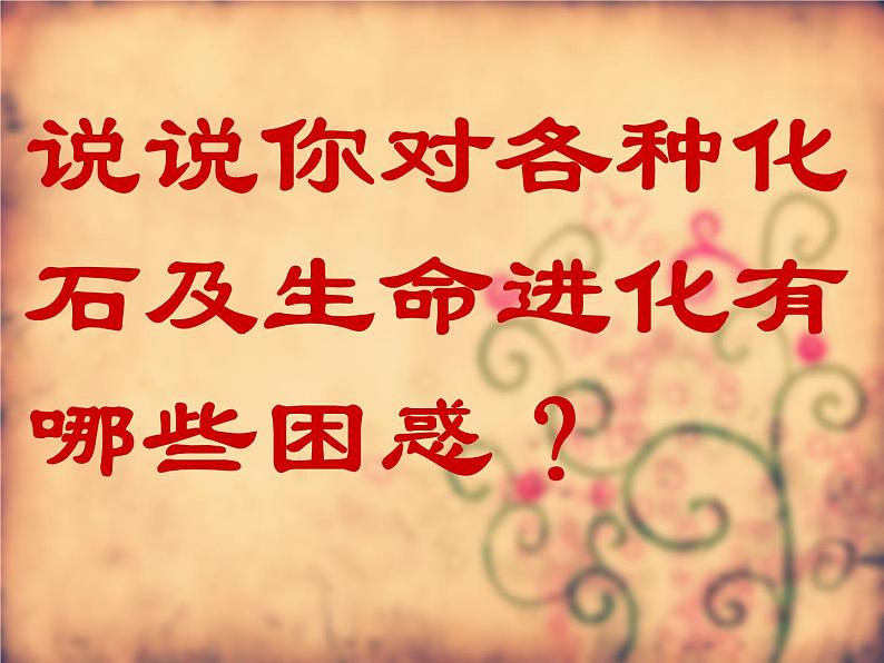 小学六年级下册科学-3.2化石告诉我们什么-苏教版(34张)ppt课件第7页