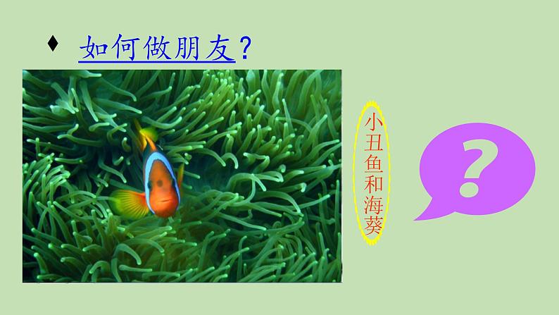 小学六年级下册科学-4.1寻找生物的家园-苏教版(11张)(1)ppt课件第3页