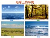 小学六年级下册科学-4.1寻找生物的家园-苏教版(12张)ppt课件
