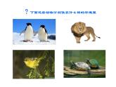 小学六年级下册科学-4.1寻找生物的家园-苏教版(12张)ppt课件
