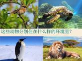小学六年级下册科学-4.1寻找生物的家园-苏教版(14张)ppt课件