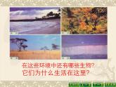 小学六年级下册科学-4.1寻找生物的家园-苏教版(14张)ppt课件