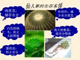 小学六年级下册科学-4.2有利于生存的本领-苏教版(37张)ppt课件
