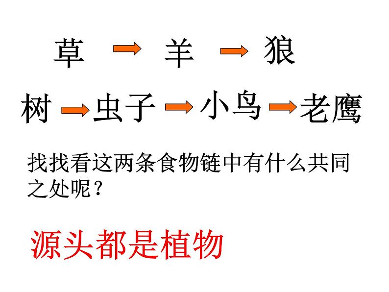 小学六年级下册科学-4.3有趣的食物链-苏教版(8张)ppt课件第5页