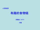 小学六年级下册科学-4.3有趣的食物链-苏教版(14张)(4)ppt课件