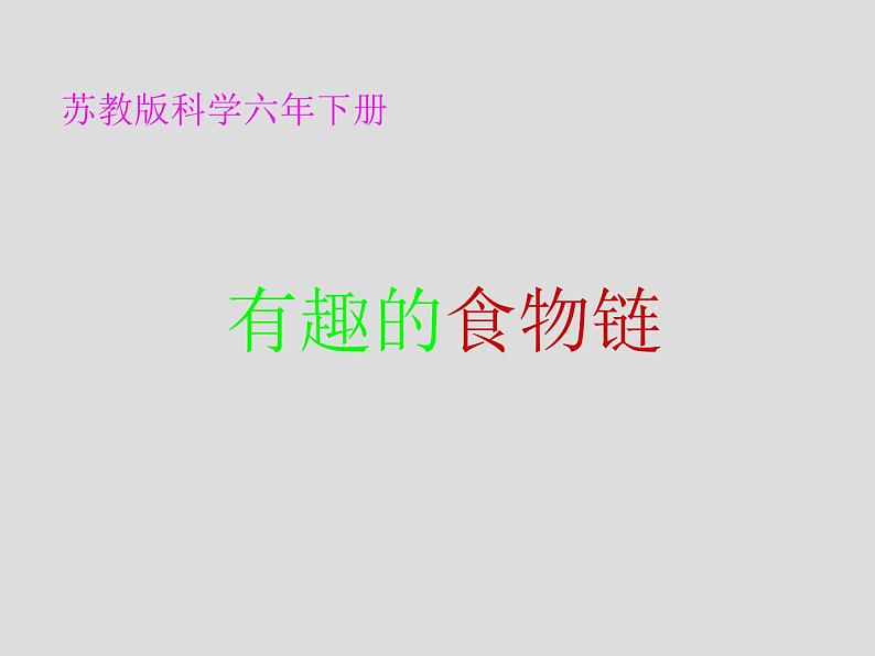 小学六年级下册科学-4.3有趣的食物链-苏教版(9张)(1)ppt课件第2页