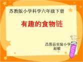 小学六年级下册科学-4.3有趣的食物链-苏教版(15张)ppt课件