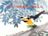 小学六年级下册科学-4.3有趣的食物链-苏教版(15张)ppt课件