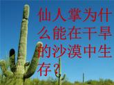小学六年级下册科学-4.2有利于生存的本领-苏教版(12张)(1)ppt课件