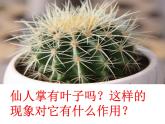 小学六年级下册科学-4.2有利于生存的本领-苏教版(12张)(1)ppt课件