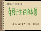 小学六年级下册科学-4.2有利于生存的本领-苏教版(23张)ppt课件