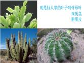 小学六年级下册科学-4.2有利于生存的本领-苏教版(17张)ppt课件