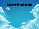 小学六年级下册科学-4.3有趣的食物链-苏教版(11张)(1)ppt课件