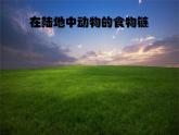 小学六年级下册科学-4.3有趣的食物链-苏教版(11张)(1)ppt课件