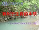 小学六年级下册科学-4.2有利于生存的本领-苏教版(22张)(1)ppt课件