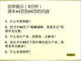 小学六年级下册科学-4.3有趣的食物链-苏教版(16张)(2)ppt课件