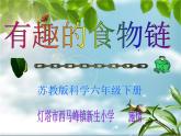 小学六年级下册科学-4.3有趣的食物链-苏教版(17张)(1)ppt课件