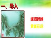 小学六年级下册科学-4.3有趣的食物链-苏教版(11张)(1)ppt课件
