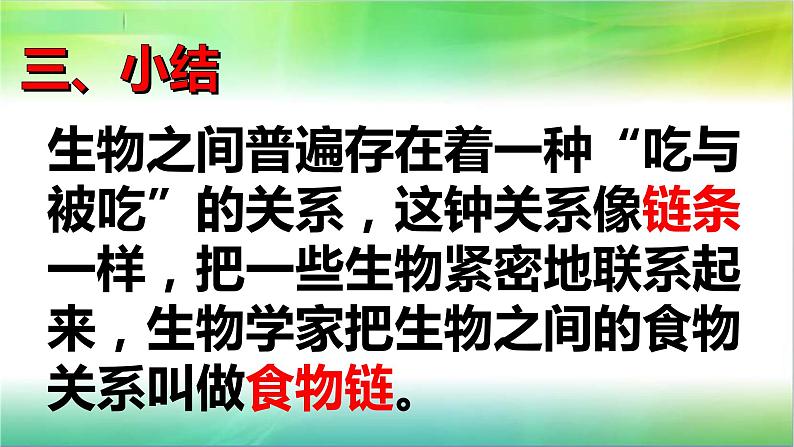 小学六年级下册科学-4.3有趣的食物链-苏教版(11张)(1)ppt课件第6页