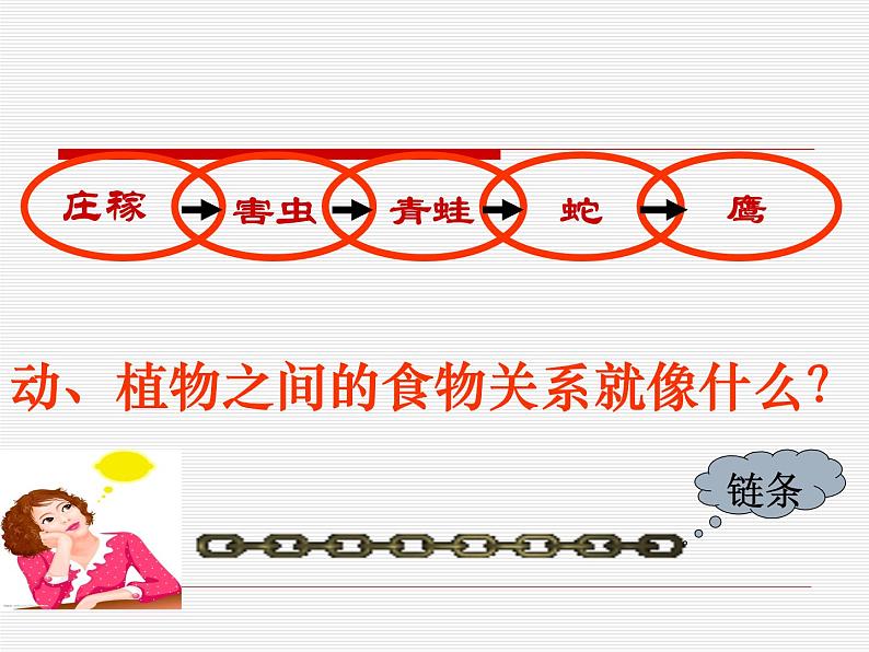 小学六年级下册科学-4.3有趣的食物链-苏教版(19张)(1)ppt课件第7页