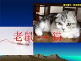 小学六年级下册科学-4.3有趣的食物链-苏教版(14张)(2)ppt课件