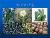小学六年级下册科学-4.2有利于生存的本领-苏教版(14张)(1)ppt课件