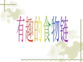 小学六年级下册科学-4.3有趣的食物链-苏教版(8张)(1)ppt课件
