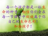 小学六年级下册科学-4.3有趣的食物链-苏教版(14张)(1)ppt课件