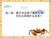 小学六年级下册科学-4.3有趣的食物链-苏教版(19张)(3)ppt课件