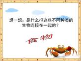 小学六年级下册科学-4.3有趣的食物链-苏教版(19张)(3)ppt课件