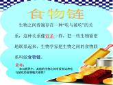 小学六年级下册科学-4.3有趣的食物链-苏教版(11张)(2)ppt课件