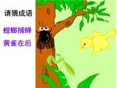 小学六年级下册科学-4.3有趣的食物链-苏教版(11张)(2)ppt课件
