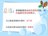 小学六年级下册科学-4.3有趣的食物链-苏教版(11张)(2)ppt课件