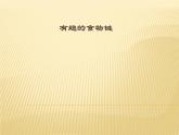 小学六年级下册科学-4.3有趣的食物链-苏教版(14张)ppt课件