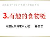 小学六年级下册科学-4.3有趣的食物链-苏教版(13张)(1)(1)ppt课件