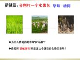 小学六年级下册科学-4.3有趣的食物链-苏教版(13张)(1)(1)ppt课件