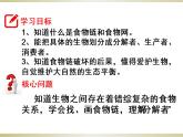 小学六年级下册科学-4.3有趣的食物链-苏教版(13张)(1)(1)ppt课件