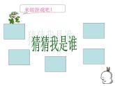 小学六年级下册科学-4.3有趣的食物链-苏教版(13张)ppt课件