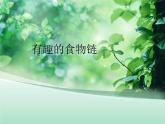 小学六年级下册科学-4.3有趣的食物链-苏教版(11张)ppt课件