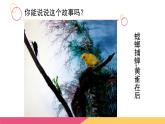 小学六年级下册科学-4.3有趣的食物链-苏教版(7张)ppt课件