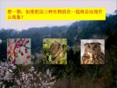 小学六年级下册科学-4.3有趣的食物链-苏教版(17张)(2)ppt课件