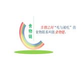 小学六年级下册科学-4.3有趣的食物链-苏教版(10张)(1)ppt课件
