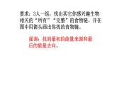 小学六年级下册科学-4.3有趣的食物链-苏教版(10张)(1)ppt课件