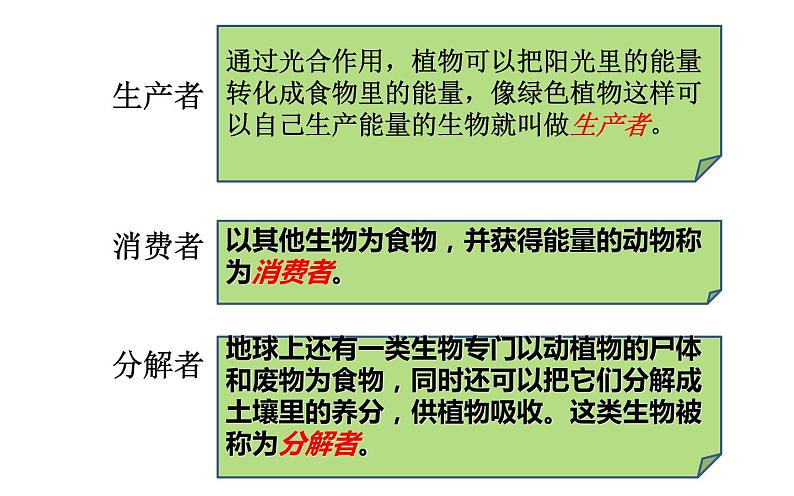 小学六年级下册科学-4.3有趣的食物链-苏教版(10张)(1)ppt课件第6页