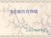 小学六年级下册科学-4.3有趣的食物链-苏教版(16张)(1)ppt课件