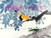 小学六年级下册科学-4.3有趣的食物链-苏教版(16张)(1)ppt课件
